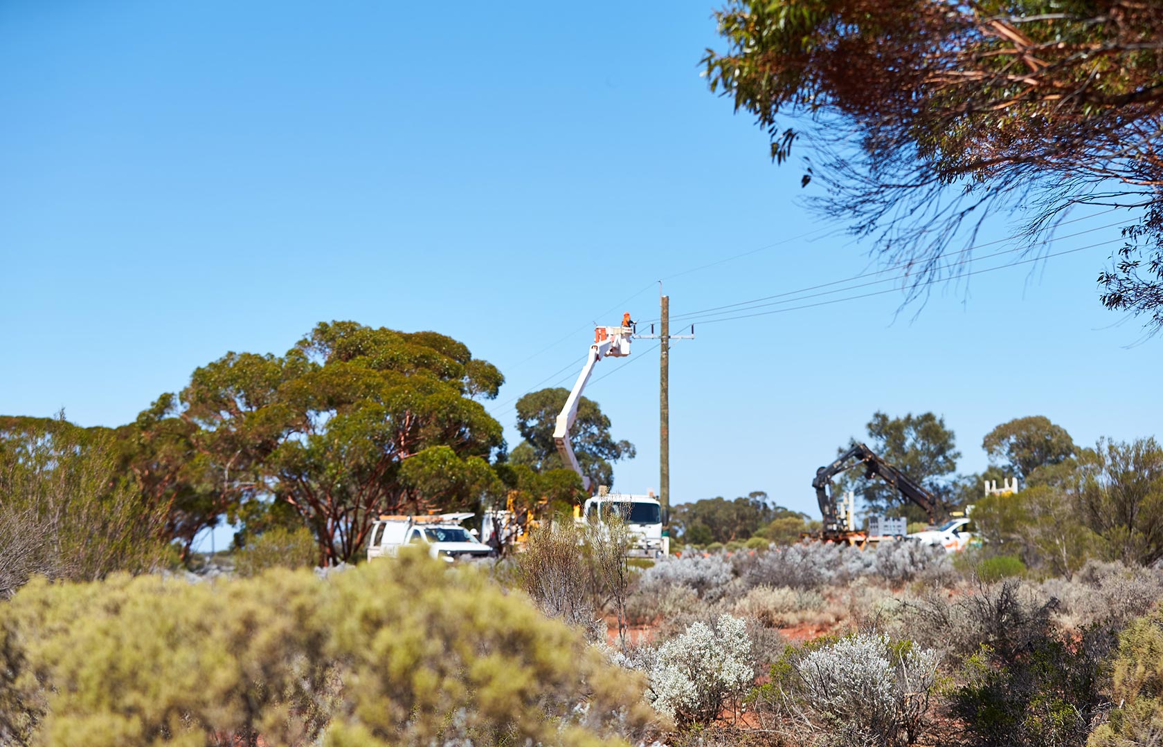 Power pole maintenance in rural Western Australia with bucket truck and native vegetation under clear blue sky.