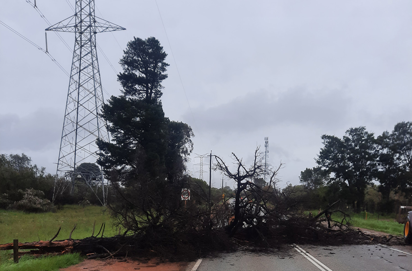 Fallen tree blocking a two-lane road near power lines on a cloudy day.