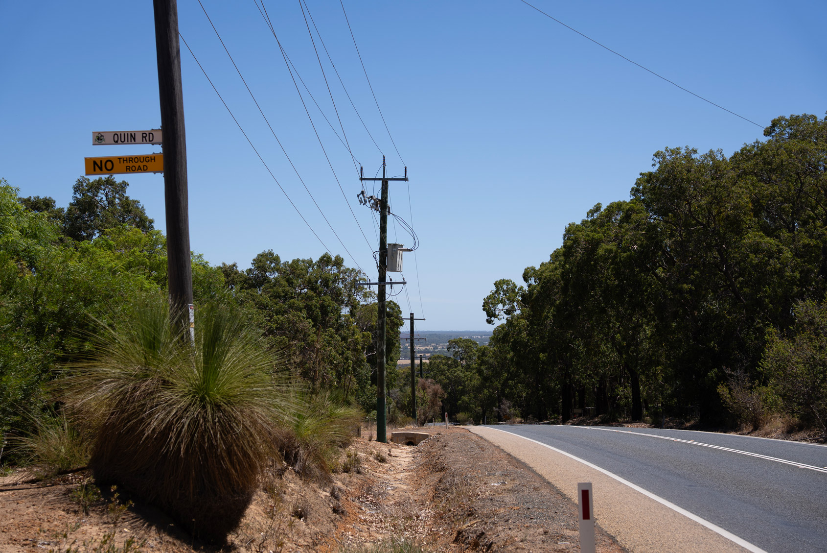Rural roadside with power poles and overhead powerlines along a sealed road bordered by bushland.