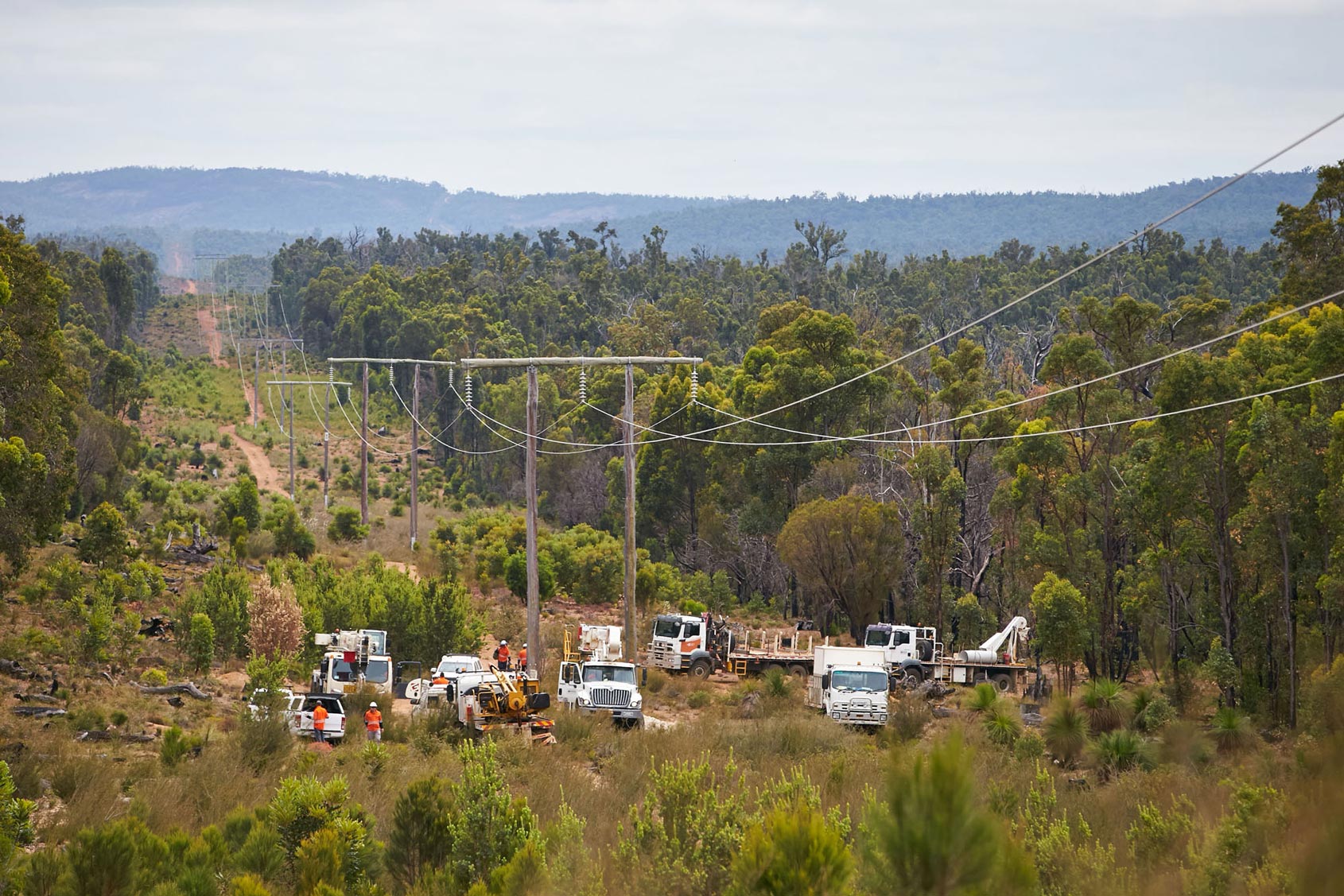 Power lines in a regional area being worked on by Western Power crews.