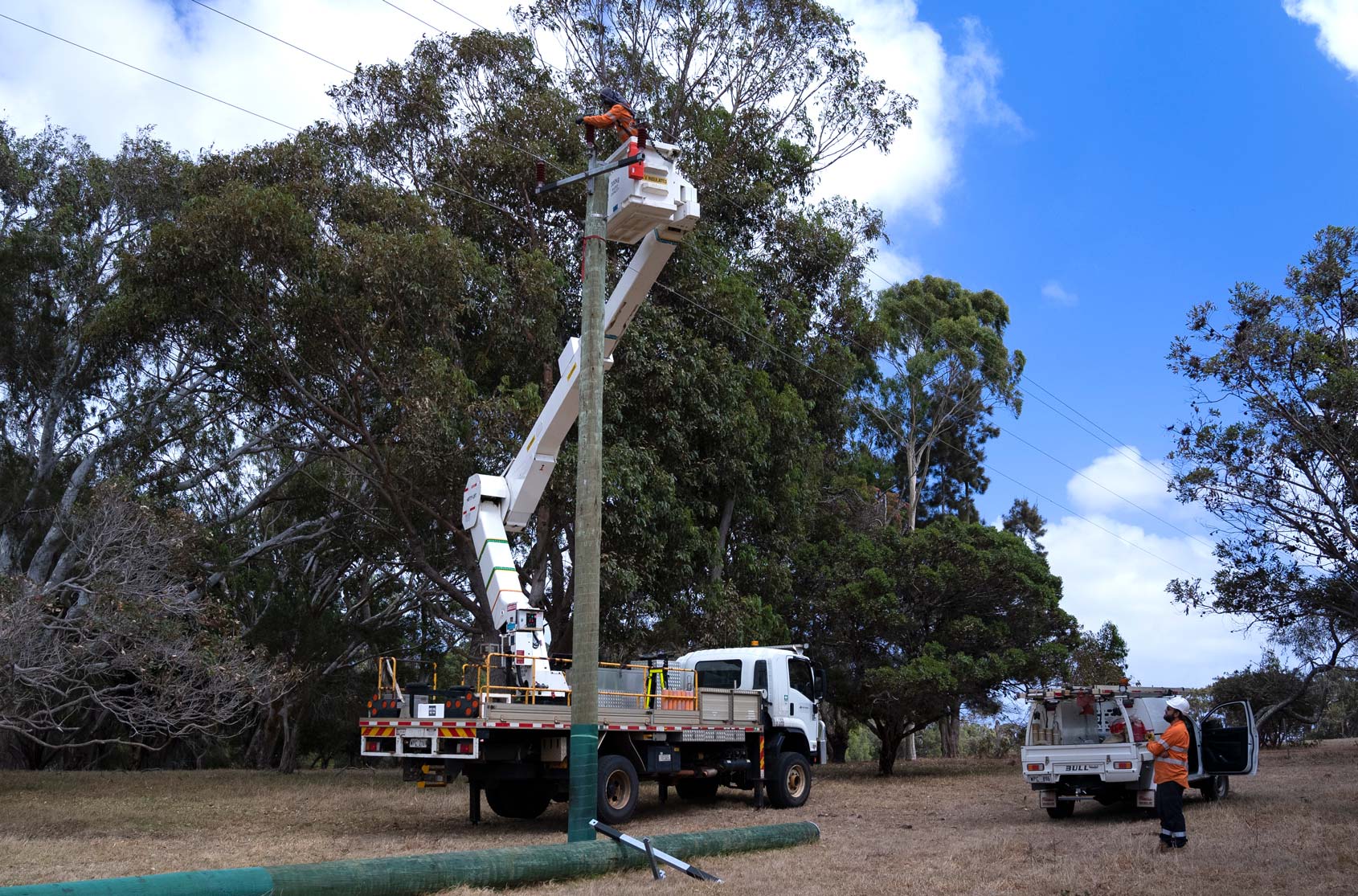 Western Power crew member in an elevated work platform carry out works on an overhead powerline