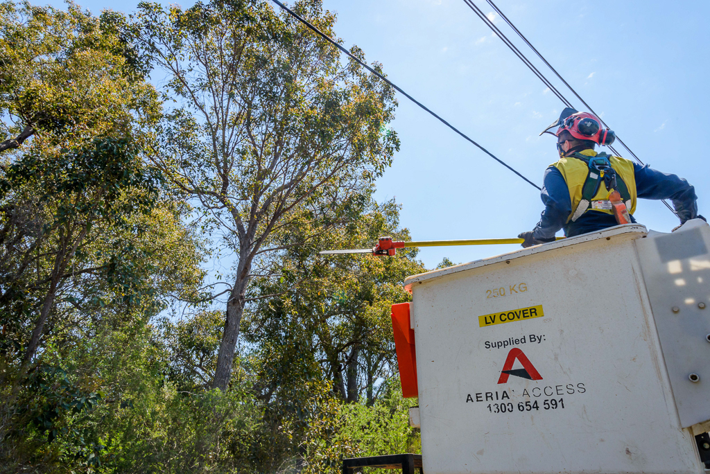 A man wearing safety equipment on an aerial work platform trimming trees that are located near powelines