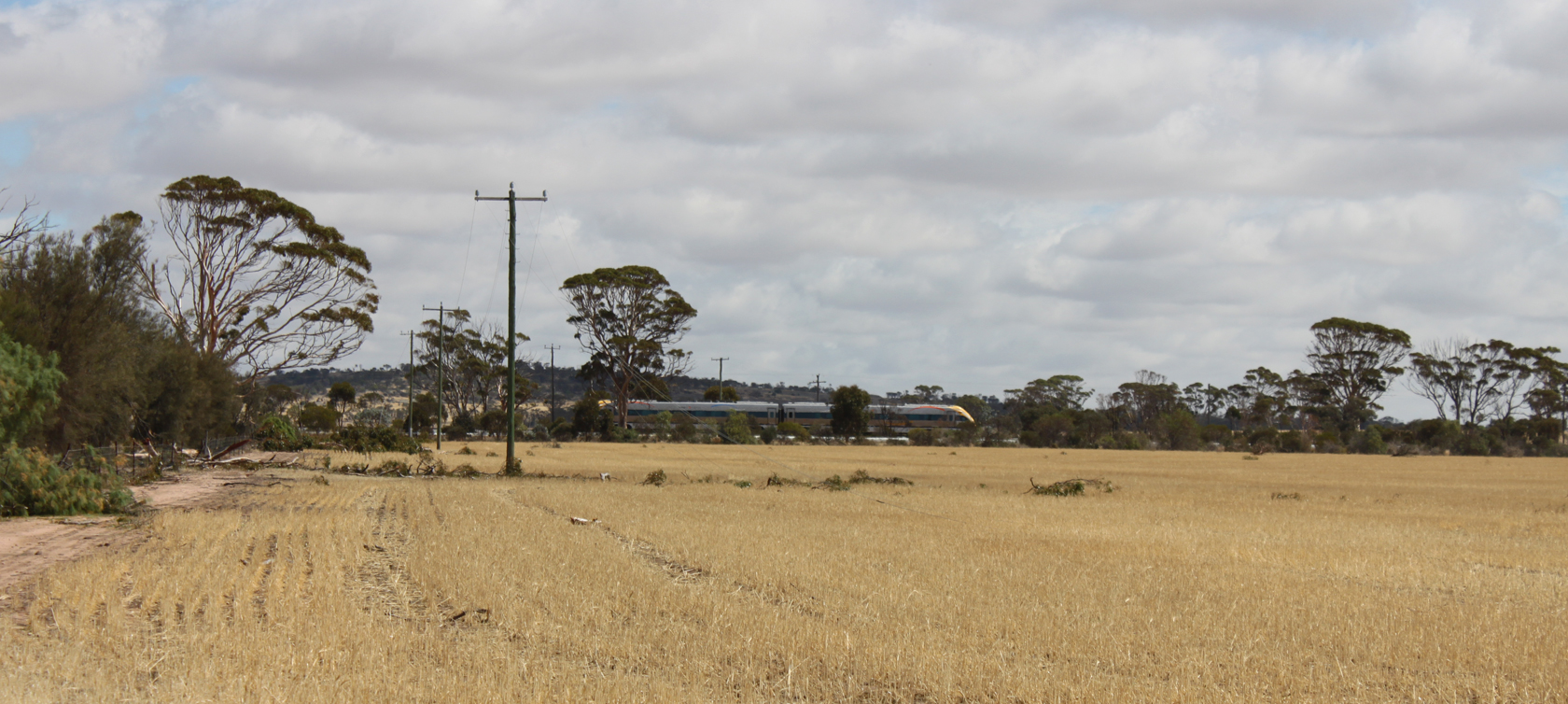 Train