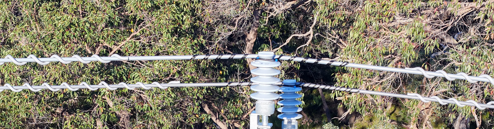 Covered conductor electrical wires