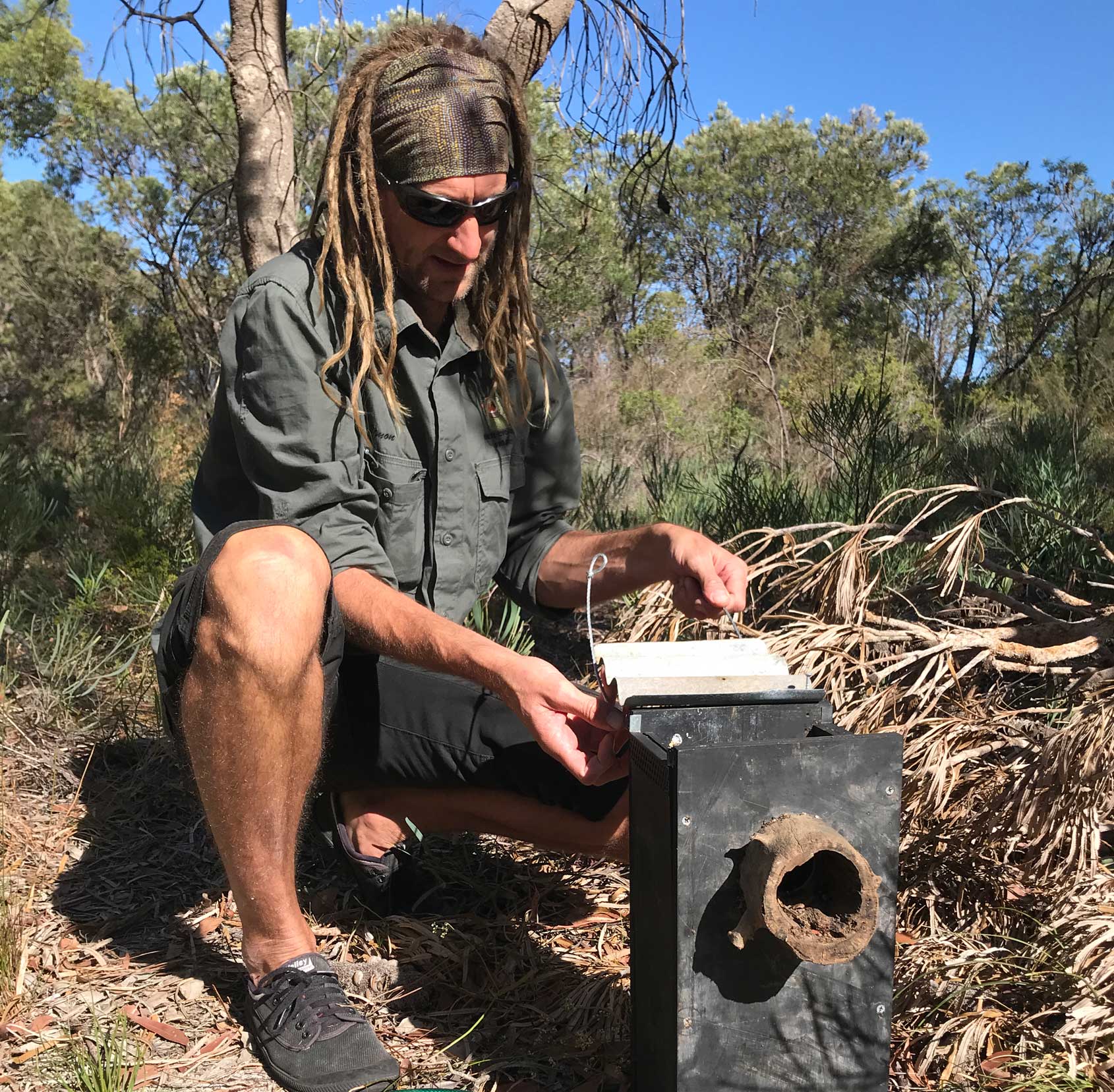 nesting-boxes
