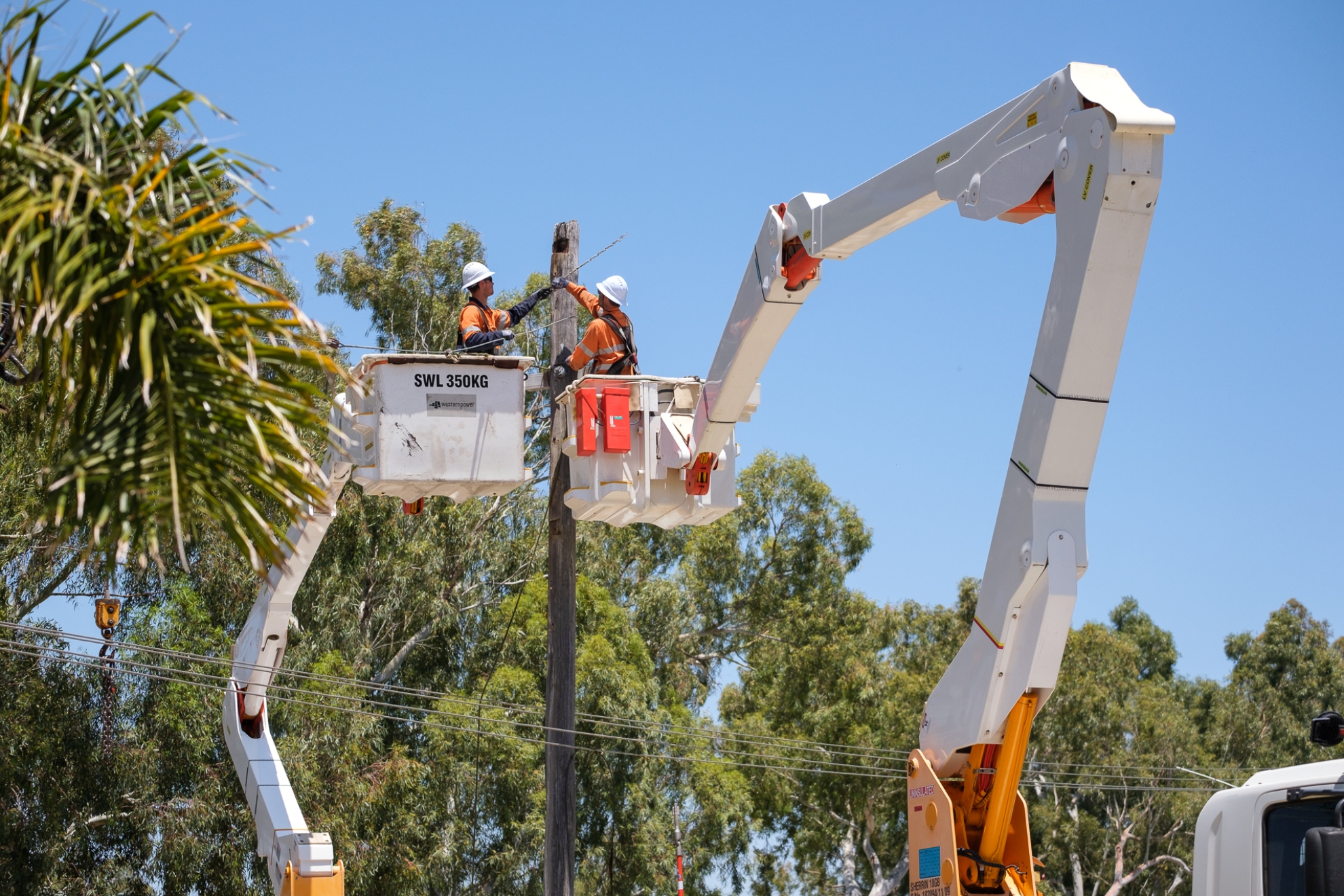 microsoftteams-image-21-_yanchep