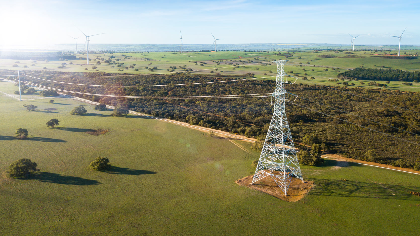 A large electricity transmission tower stands in a green rural landscape with wind turbines in the distance.