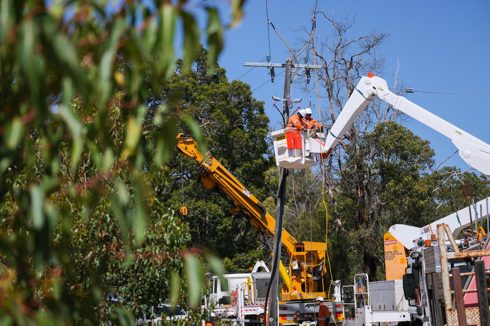 Western Power crew members working on a powerline