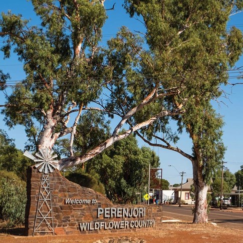 Perenjori shire