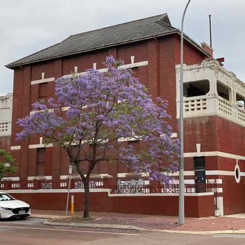 tree overview with building