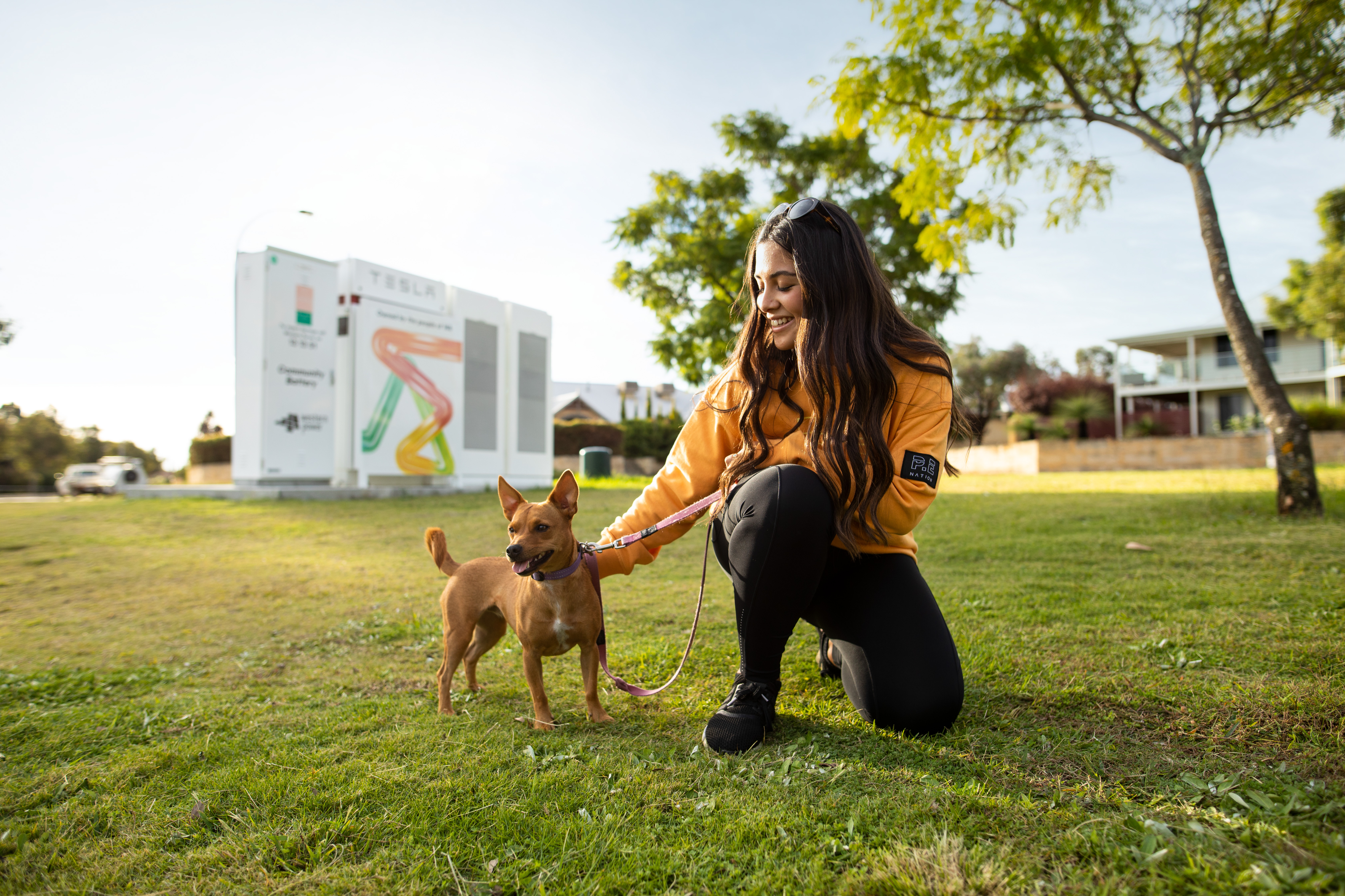 community battery with park and community member