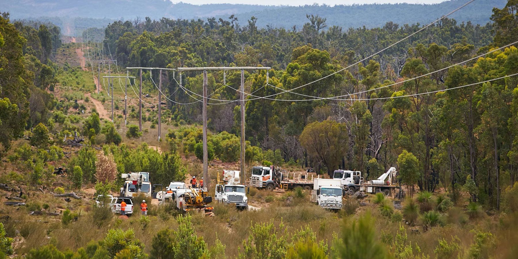 Power lines in a regional area being worked on by Western Power crews.